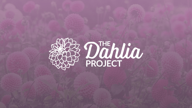 The Dahlia Project