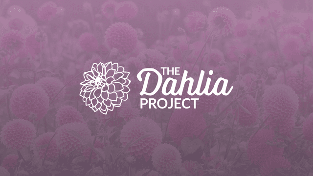 The Dahlia Project