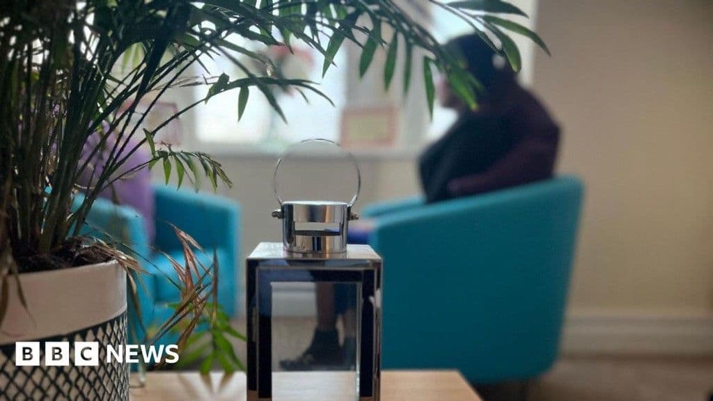 BBC New article